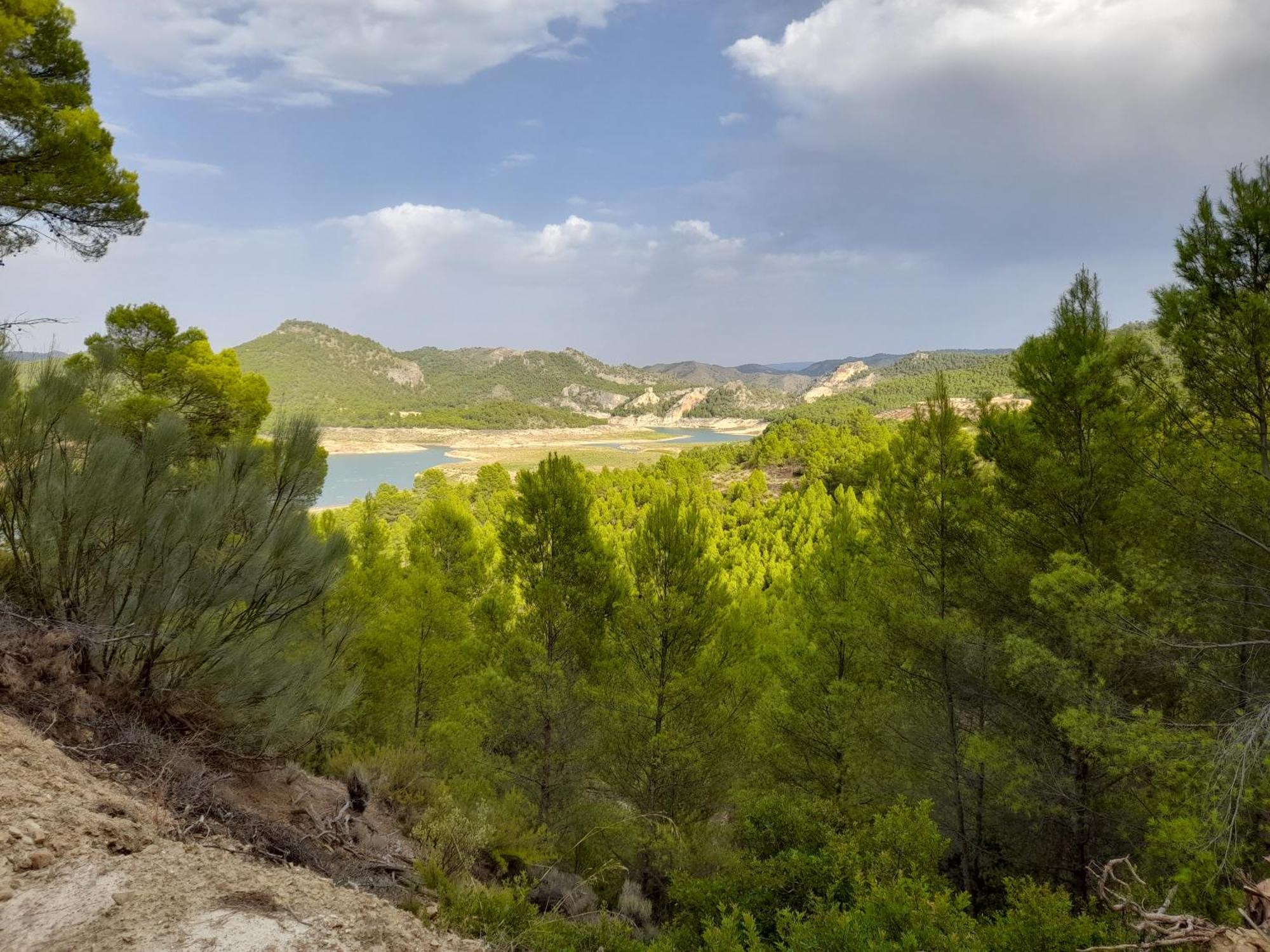 Casa Rural Del Saz Yeste Εξωτερικό φωτογραφία
